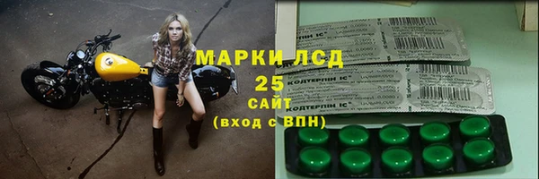 скорость Каменногорск