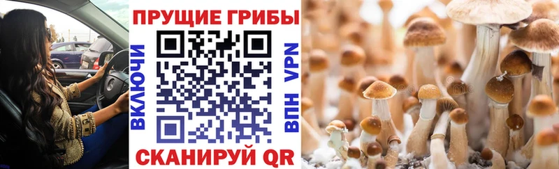 Псилоцибиновые грибы мухоморы  Купить закладки  Донской 