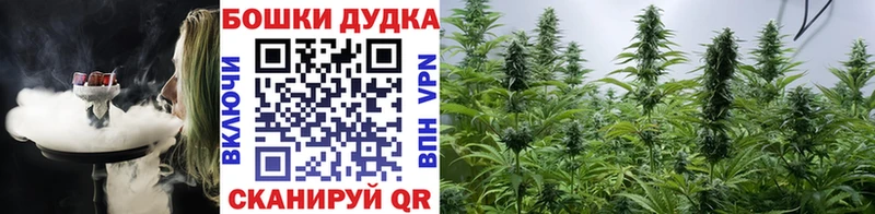 Купить  Донской  Конопля сатива 